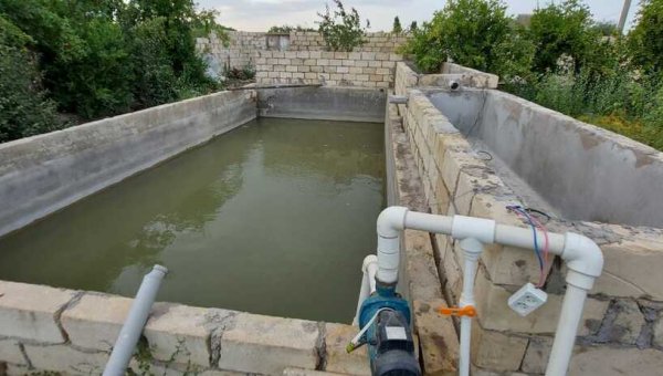 55 sot torpaq satılır, Salyan-4