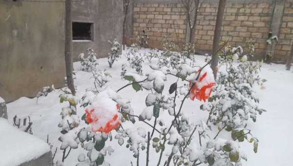 7 otaqlı  Ev/Villa satılır, 6-cı mikrorayon-15