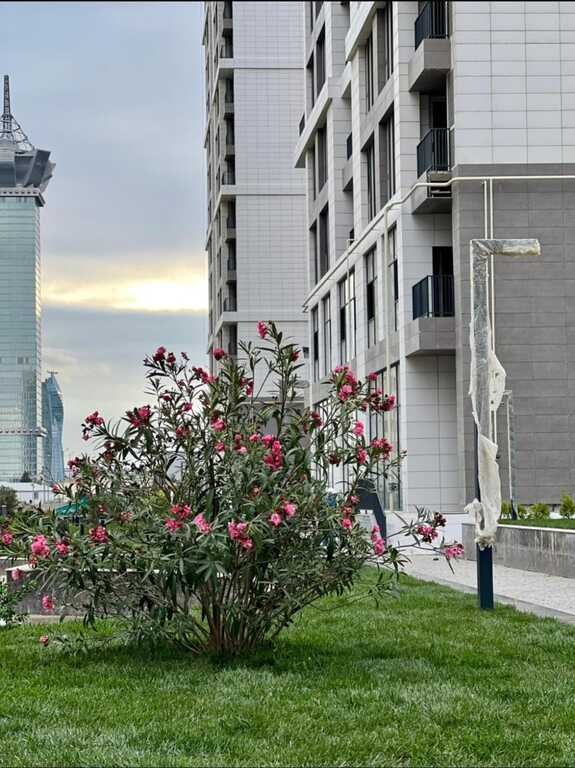 Satılır 1 otaqlı yeni tikili, 79.3 m², Koroğlu m.-3