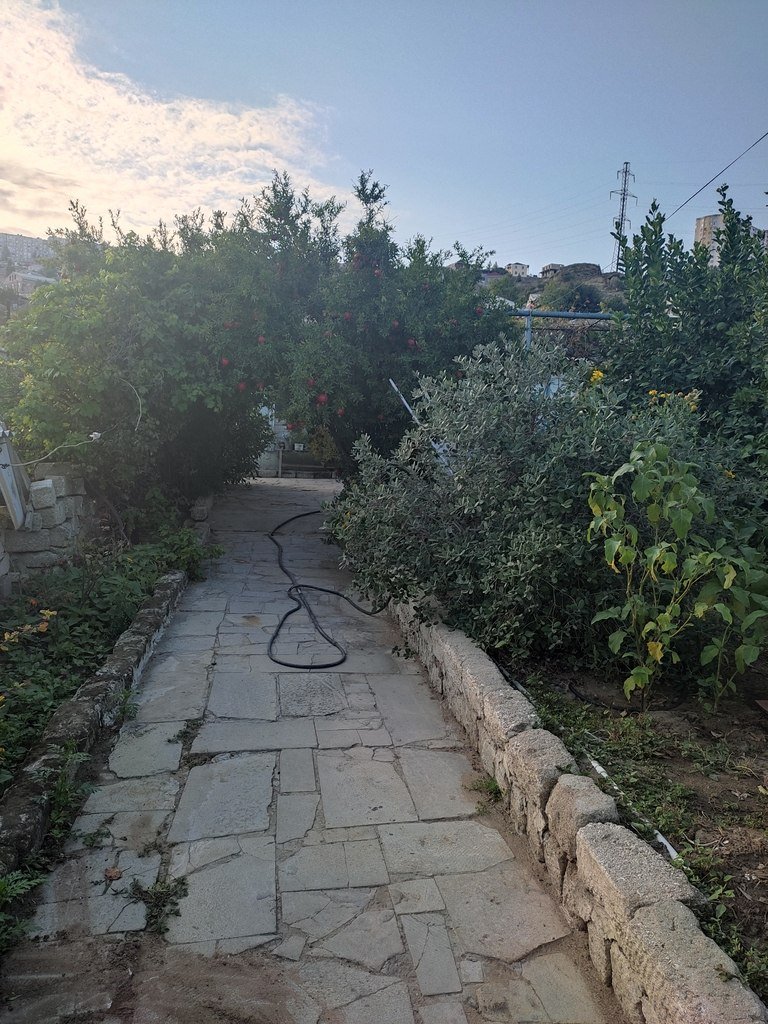 5 sot torpaq satılır, Zığ-1