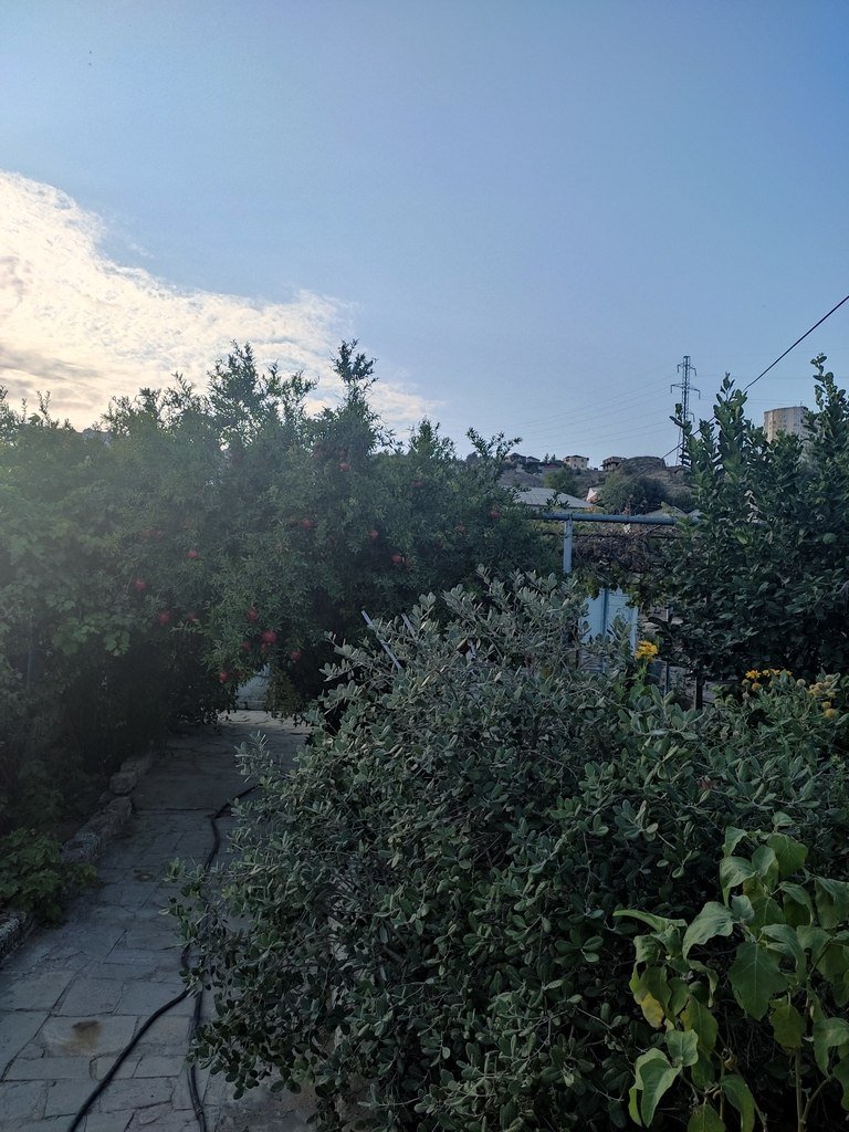 5 sot torpaq satılır, Zığ-2