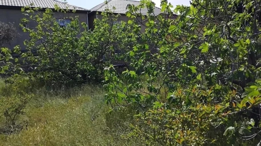 6 sot torpaq satılır, Sumqayıt-1