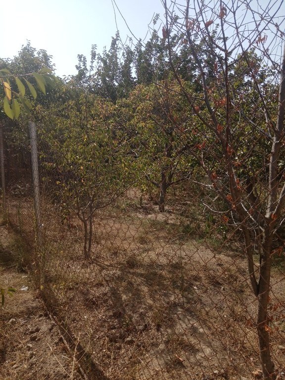 6 sot torpaq satılır, Binəqədi-1