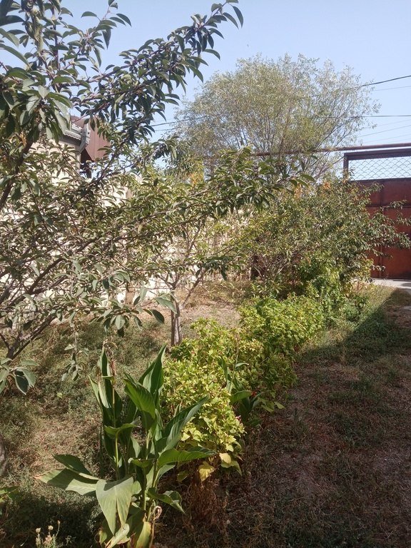 6 sot torpaq satılır, Binəqədi-4