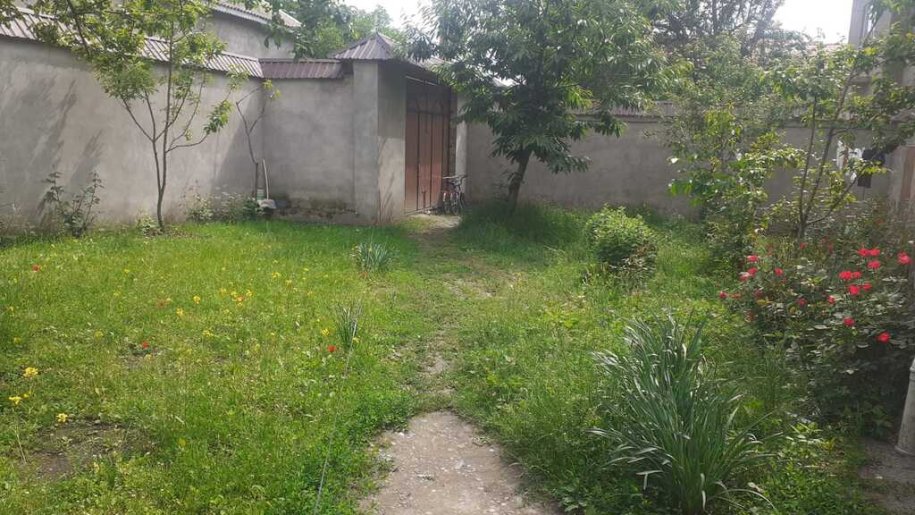 5 sot torpaq satılır, Qəbələ-1