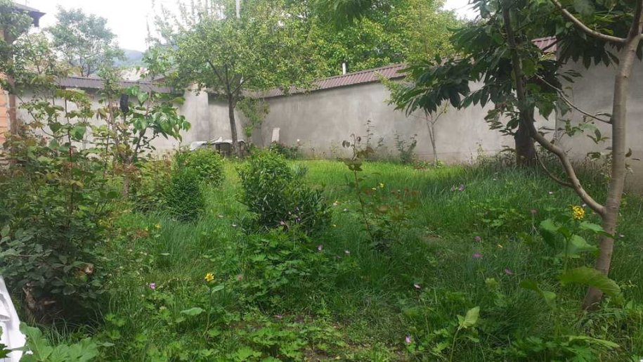 5 sot torpaq satılır, Qəbələ-2