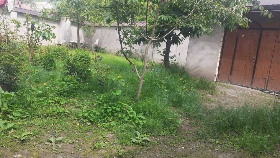 5 sot torpaq satılır, Qəbələ-3