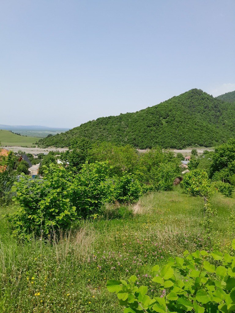 12 sot torpaq satılır, İsmayıllı-1
