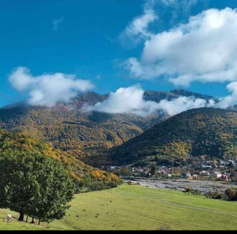 12 sot torpaq satılır, İsmayıllı-5