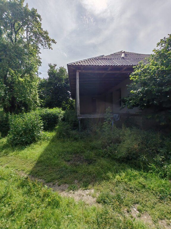 30 sot torpaq satılır, Qəbələ-3