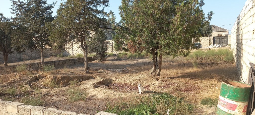 4 sot torpaq satılır, Ramana-1