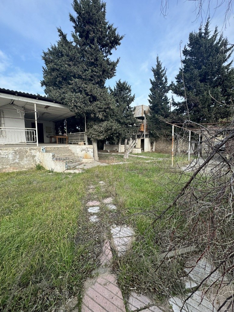 25 sot torpaq satılır, Bilgəh-6