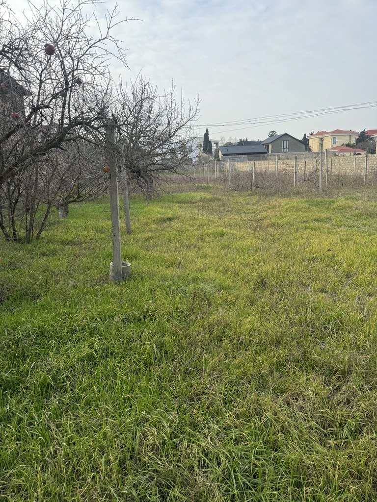 25 sot torpaq satılır, Bilgəh-10
