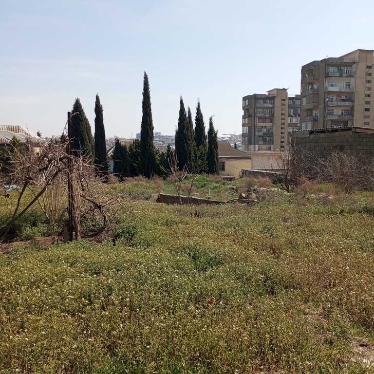 16 sot torpaq satılır, Bakıxanov (Razin)-1