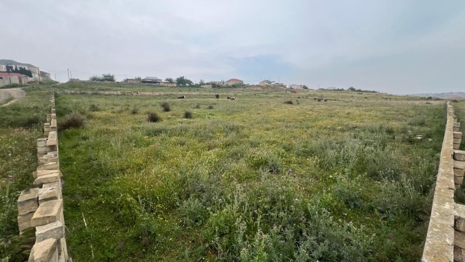 29 sot torpaq satılır, Saray-2