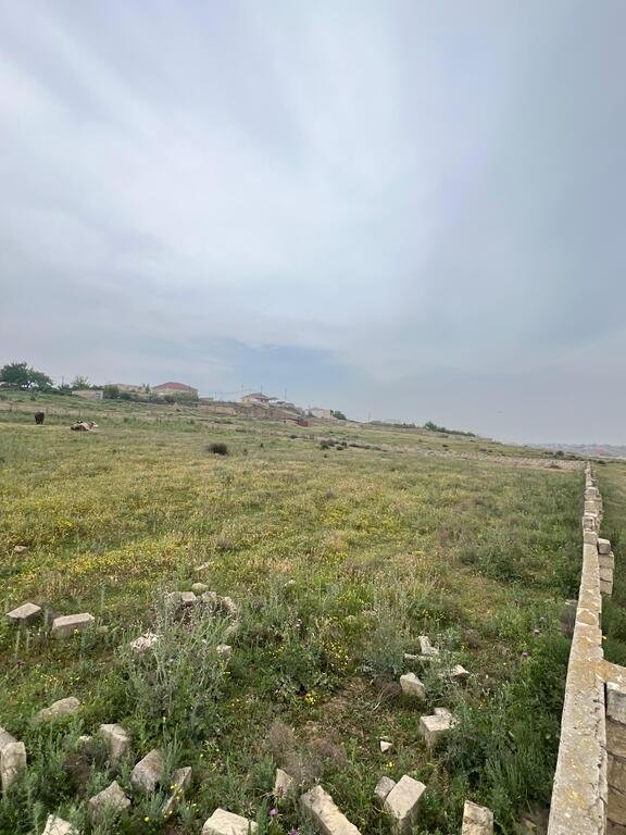 29 sot torpaq satılır, Saray-6