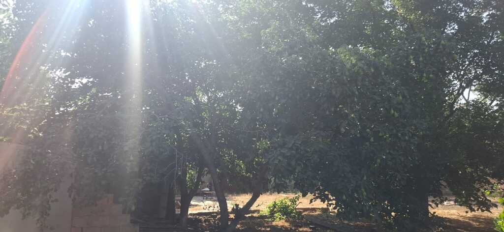 10 sot torpaq satılır, Mehdiabad-2
