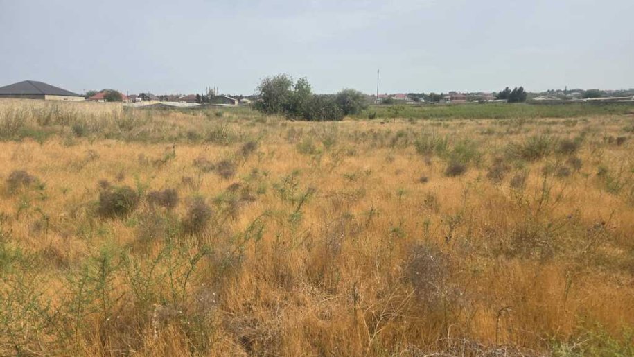 33 sot torpaq satılır, Pirşağı-1
