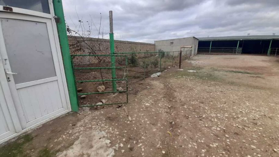 750 kv.m. obyekt icarəyə verilir, Qobu-25
