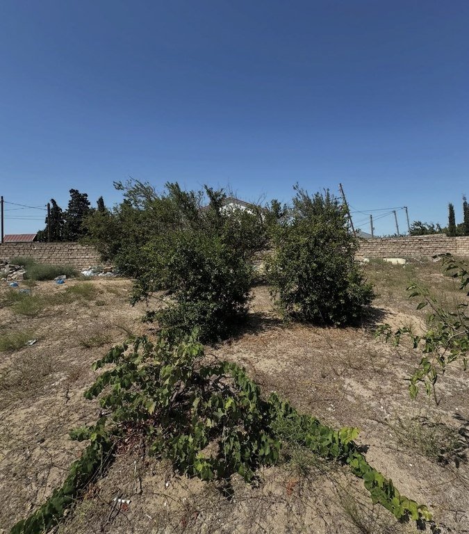 8 sot torpaq satılır, Şüvəlan-5