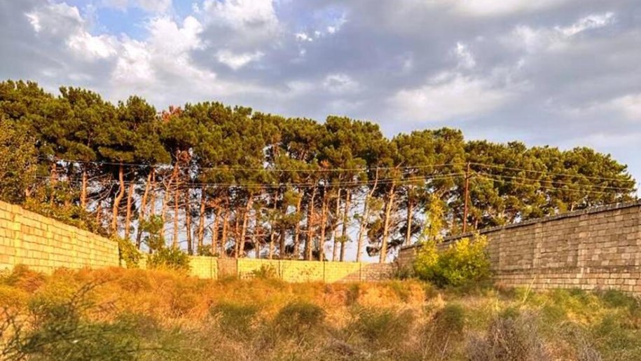 8 sot torpaq satılır, Görədil-1