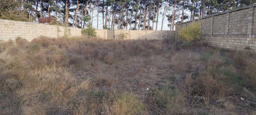 8 sot torpaq satılır, Görədil-6