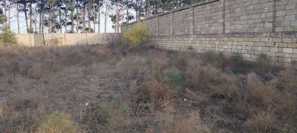 8 sot torpaq satılır, Görədil-7