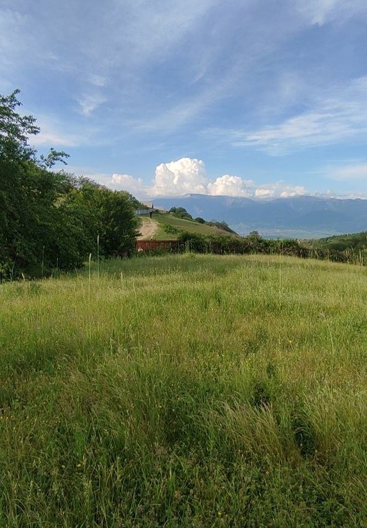 13 sot torpaq satılır, İsmayıllı-2