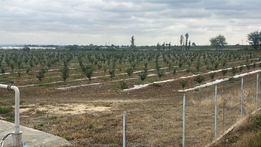 2000 sot torpaq satılır, Şəmkir-2