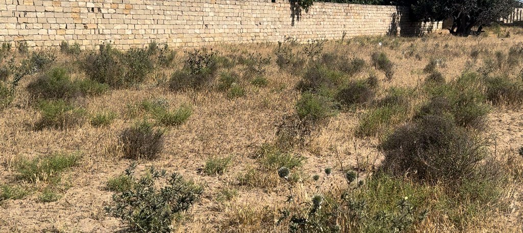 6 sot torpaq satılır, Nardaran-6