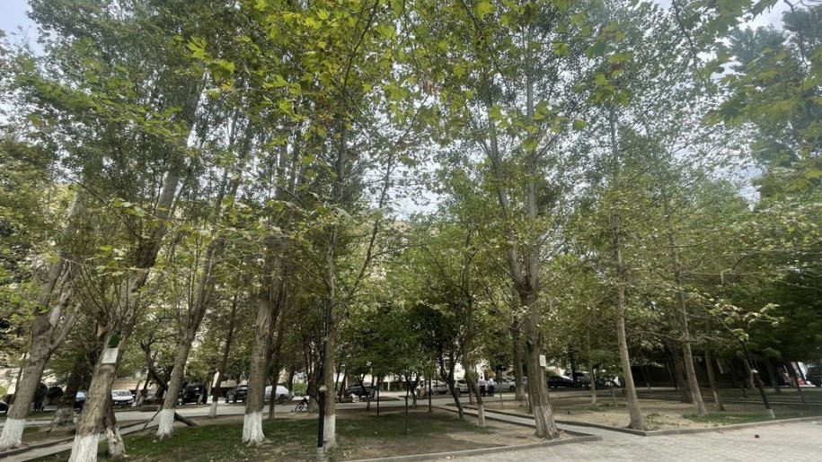 Satılır 3 otaqlı köhnə tikili, 85 m², Nəsimi m.-17