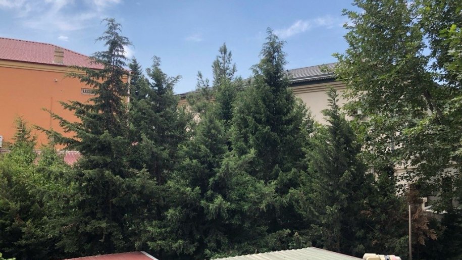Satılır 3 otaqlı köhnə tikili, 85 m², Nəsimi m.-19