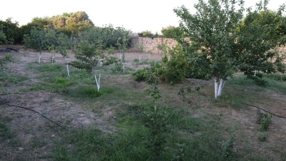 8 sot torpaq satılır, Maştağa-3