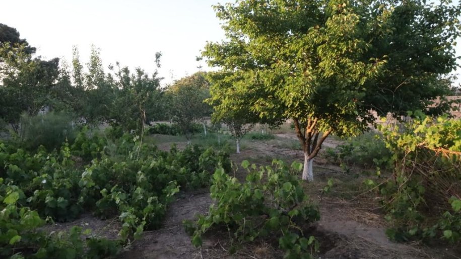 8 sot torpaq satılır, Maştağa-4