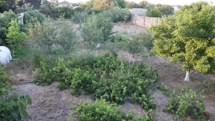 8 sot torpaq satılır, Maştağa-7