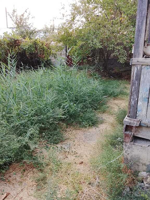 8 sot torpaq satılır, Kürdəmir-10