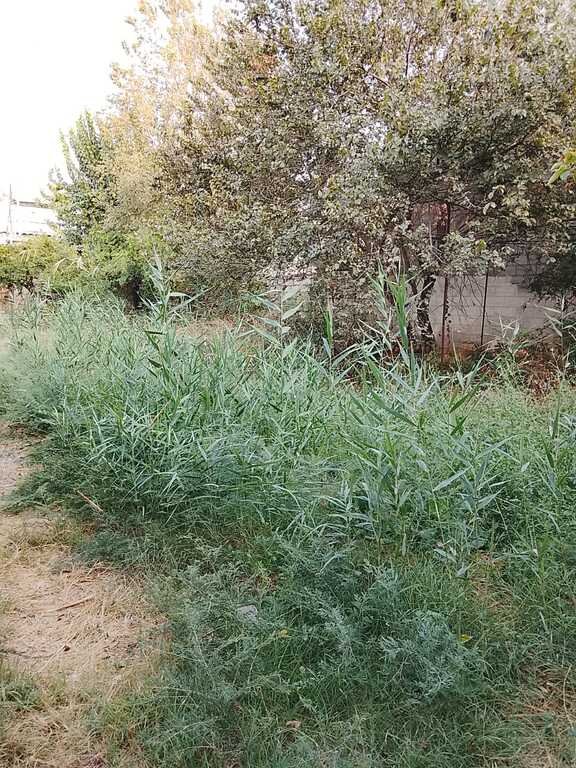 8 sot torpaq satılır, Kürdəmir-11