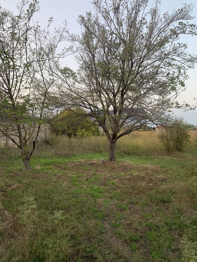26 sot torpaq satılır, Sumqayıt-4