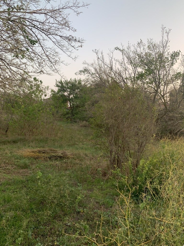 26 sot torpaq satılır, Sumqayıt-12
