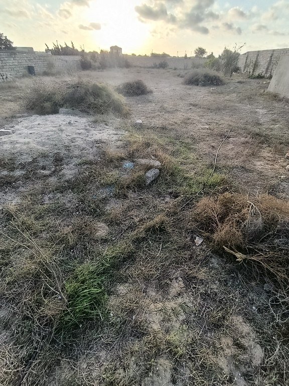 12 sot torpaq satılır, Türkan-2