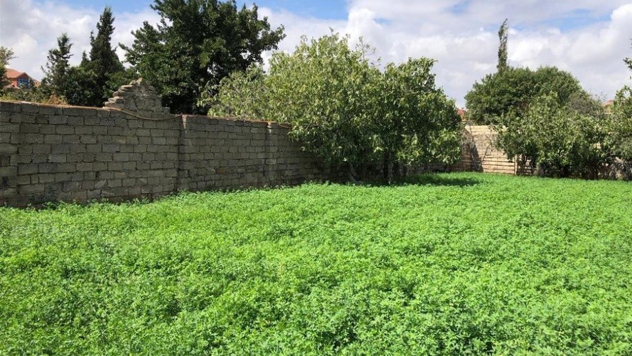 9.5 sot torpaq satılır, Maştağa-2