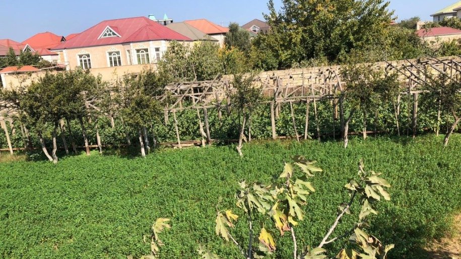 9.5 sot torpaq satılır, Maştağa-4