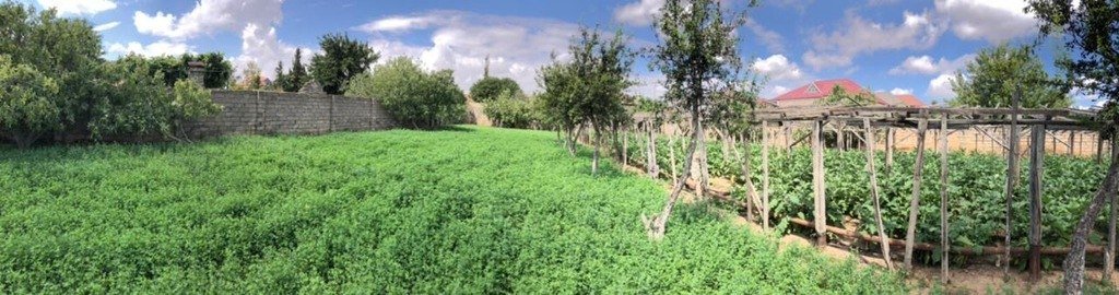 9.5 sot torpaq satılır, Maştağa-5