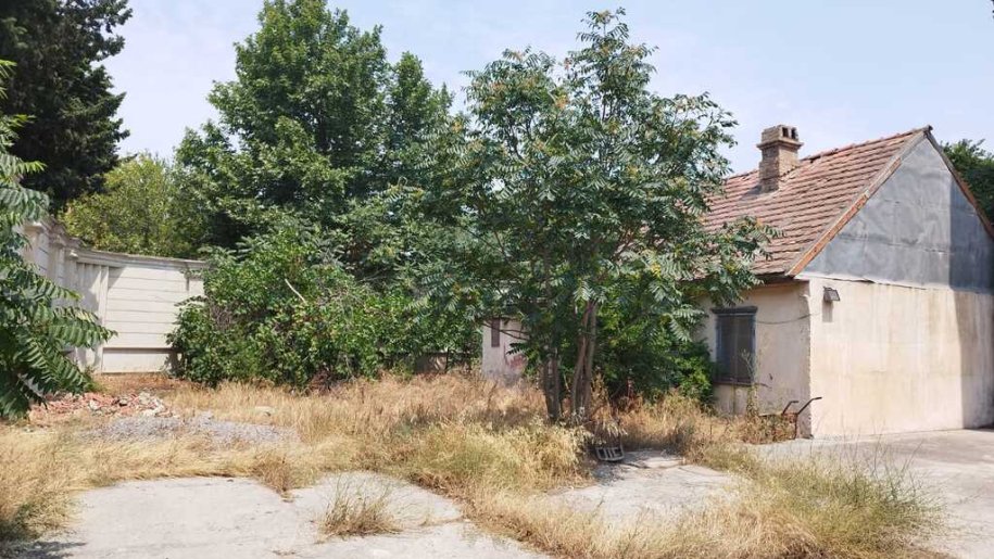 5 sot torpaq satılır, Həzi Aslanov-1