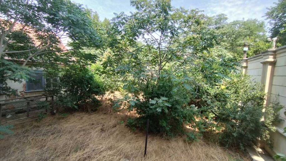 5 sot torpaq satılır, Həzi Aslanov-6