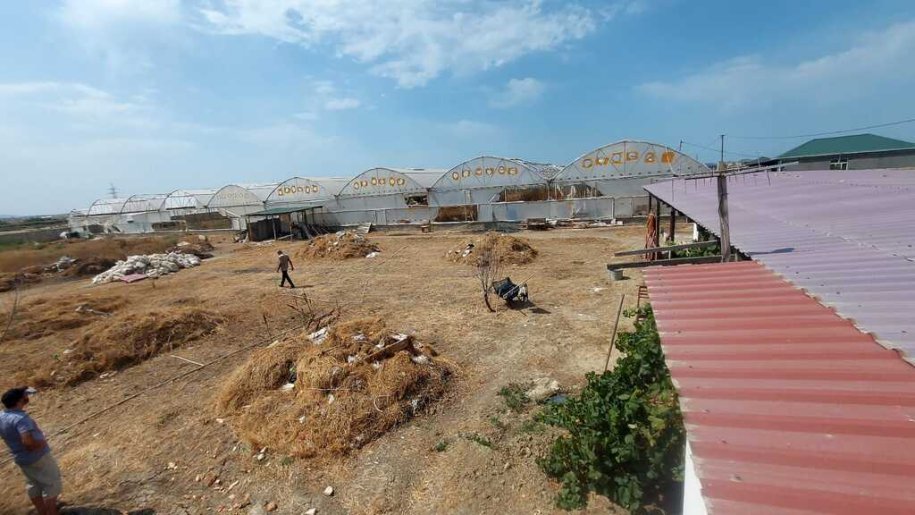 6000 m<sup>2</sup> obyekt satılır, Məmmədli-4