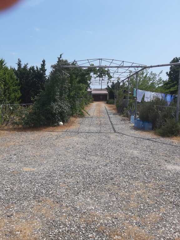 21 sot torpaq satılır, Qala-1