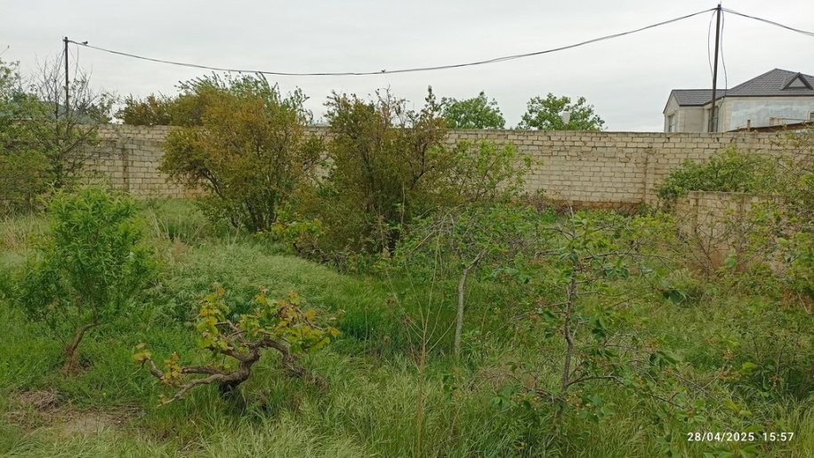 10 sot torpaq satılır, Sumqayıt-1