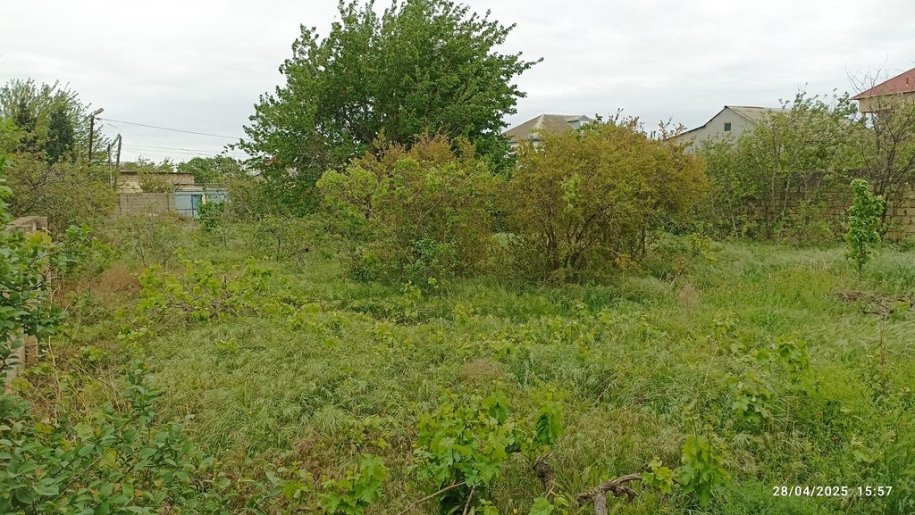 10 sot torpaq satılır, Sumqayıt-2