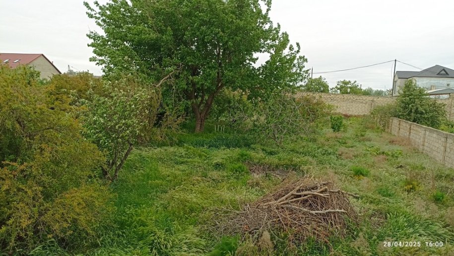 10 sot torpaq satılır, Sumqayıt-4